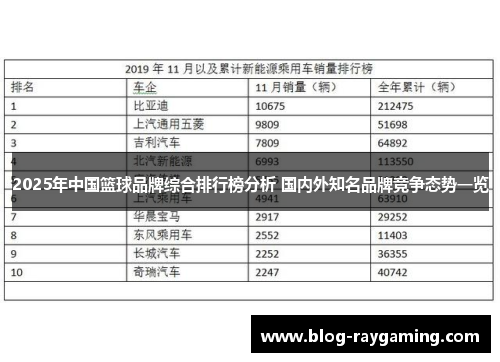 2025年中国篮球品牌综合排行榜分析 国内外知名品牌竞争态势一览