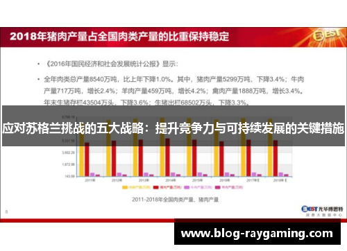 应对苏格兰挑战的五大战略：提升竞争力与可持续发展的关键措施